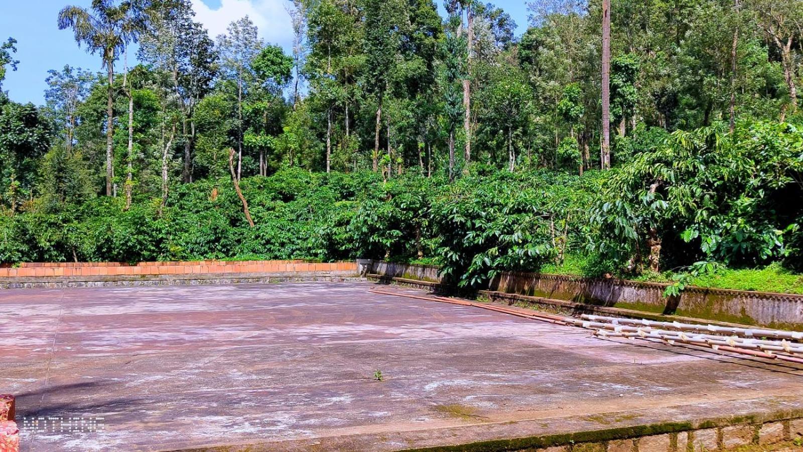 Coorg Divine Spark Home Stay Suntikoppa Exterior foto