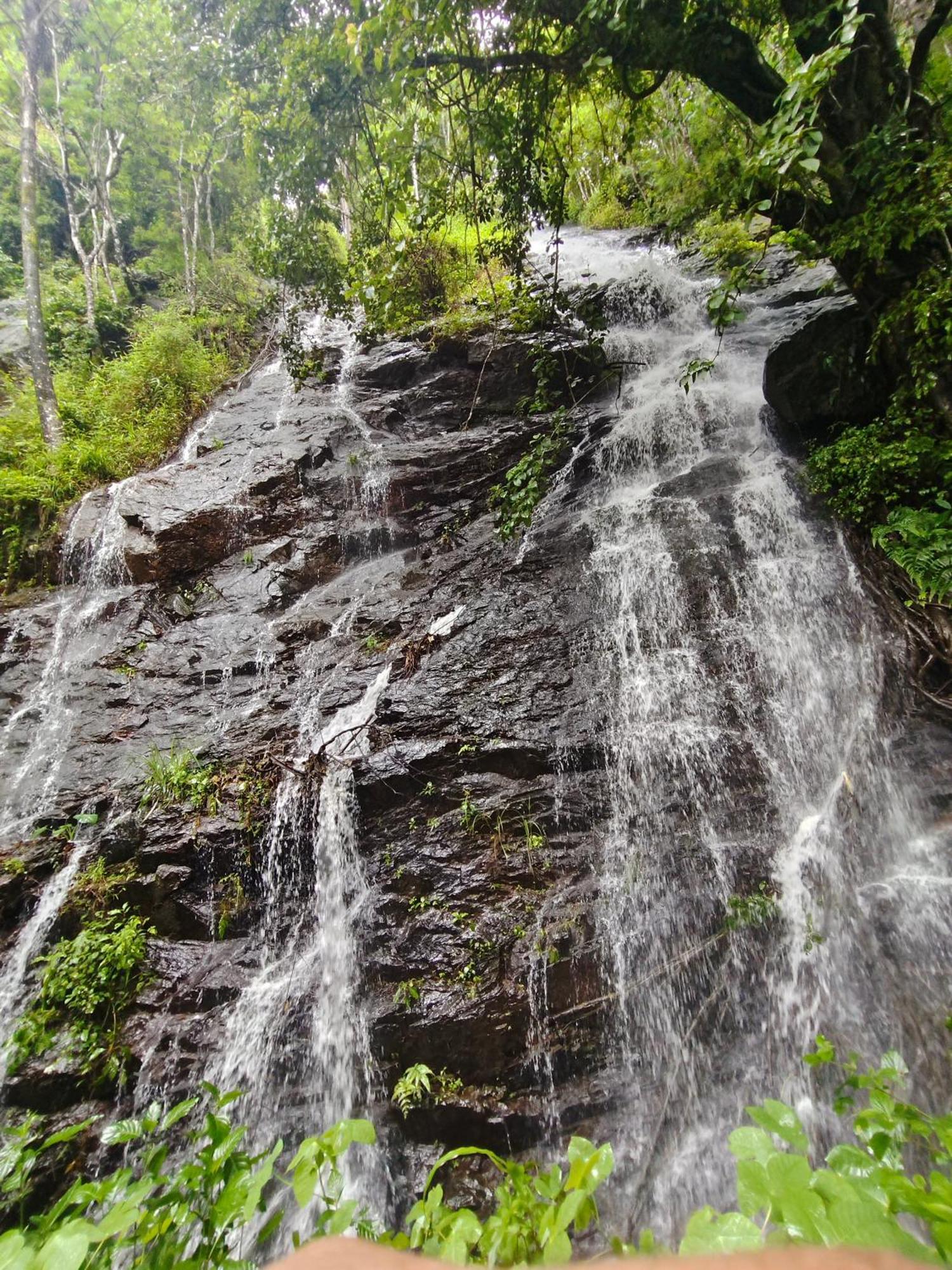 Coorg Divine Spark Home Stay Suntikoppa Exterior foto